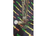 MNML Triangle 7mm | <b>������</b> | SpbBongs.com