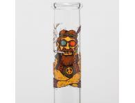 SmoKing Bong | <b>������</b> | SpbBongs.com