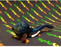 ������ ���� | ������ | SpbBongs.com