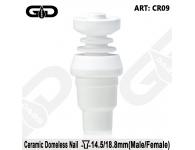 GG  Medical Grade Ceramic domeless nail | ������ ����� | SpbBongs.com